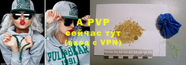 стафф Арсеньев