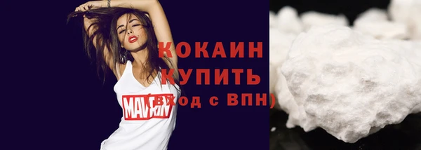 стафф Арсеньев