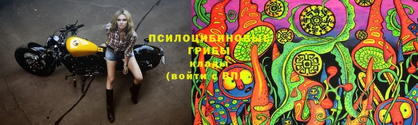 стафф Арсеньев