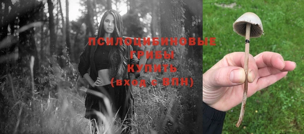 марки nbome Аркадак